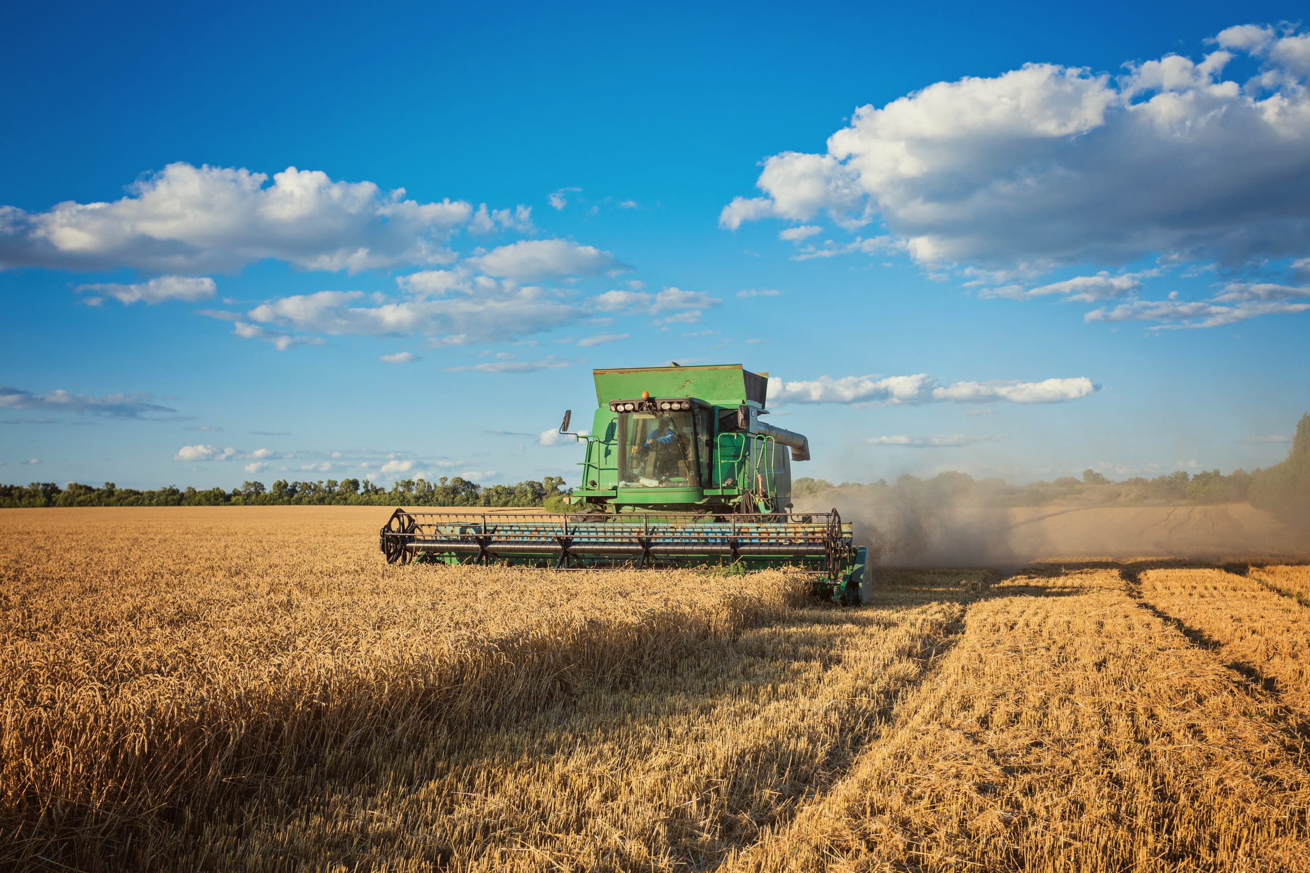 A sucessão no empreendimento agroindustrial